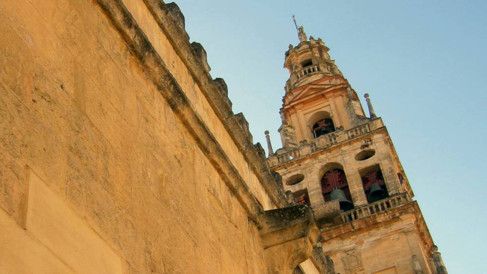 Consejo Social Universidad de Córdoba