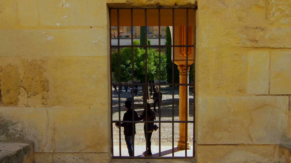 Consejo Social Universidad de Córdoba