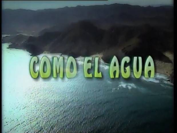 Canal Sur