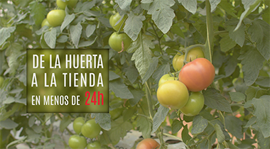 Grupo MAS | VISITA A LA HUERTA DE CONIL