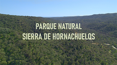  | MPN SIERRA DE HORNACHUELOS