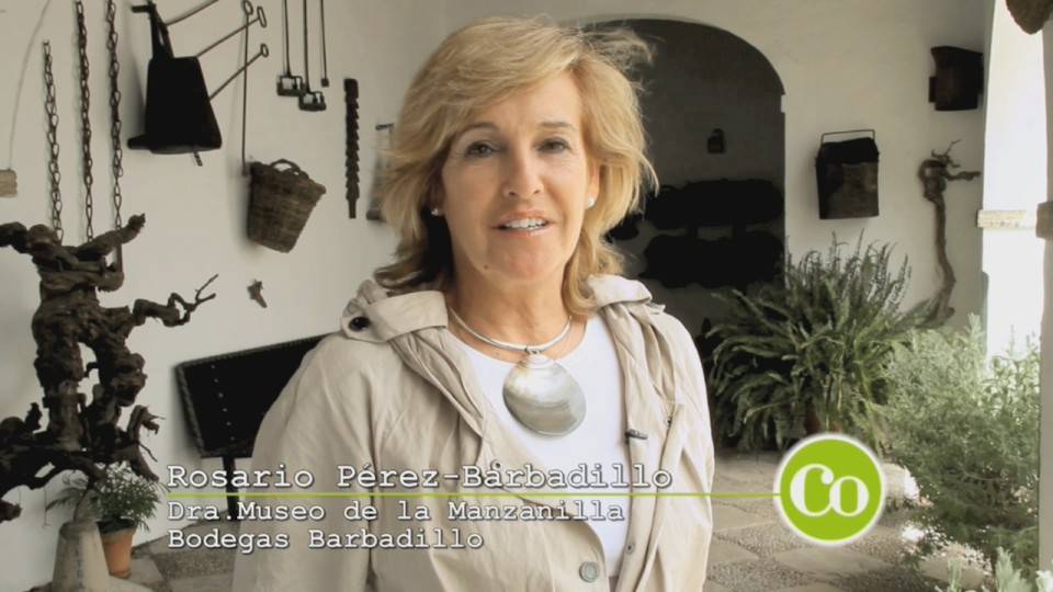 Barbadillo