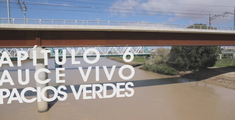 Sevilla se ve en su río