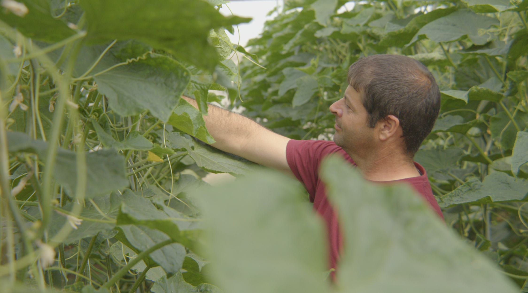 VISITA A LA HUERTA DE CONIL