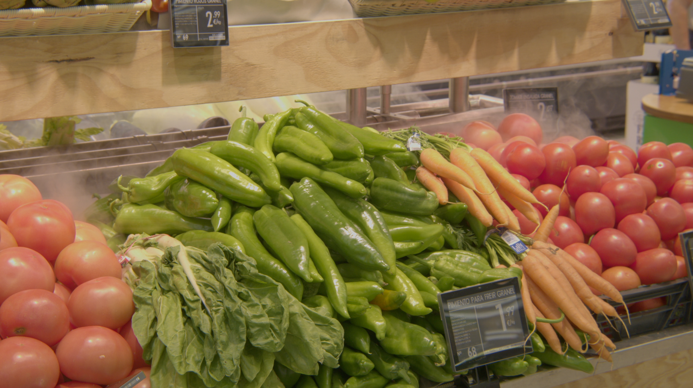VISITA A LA HUERTA DE CONIL