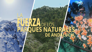LA FUERZA DE LOS PARQUES NATURALES DE ANDALUCÍA, SERIE DOCUMENTAL PARA CANAL SUR Dexmedia