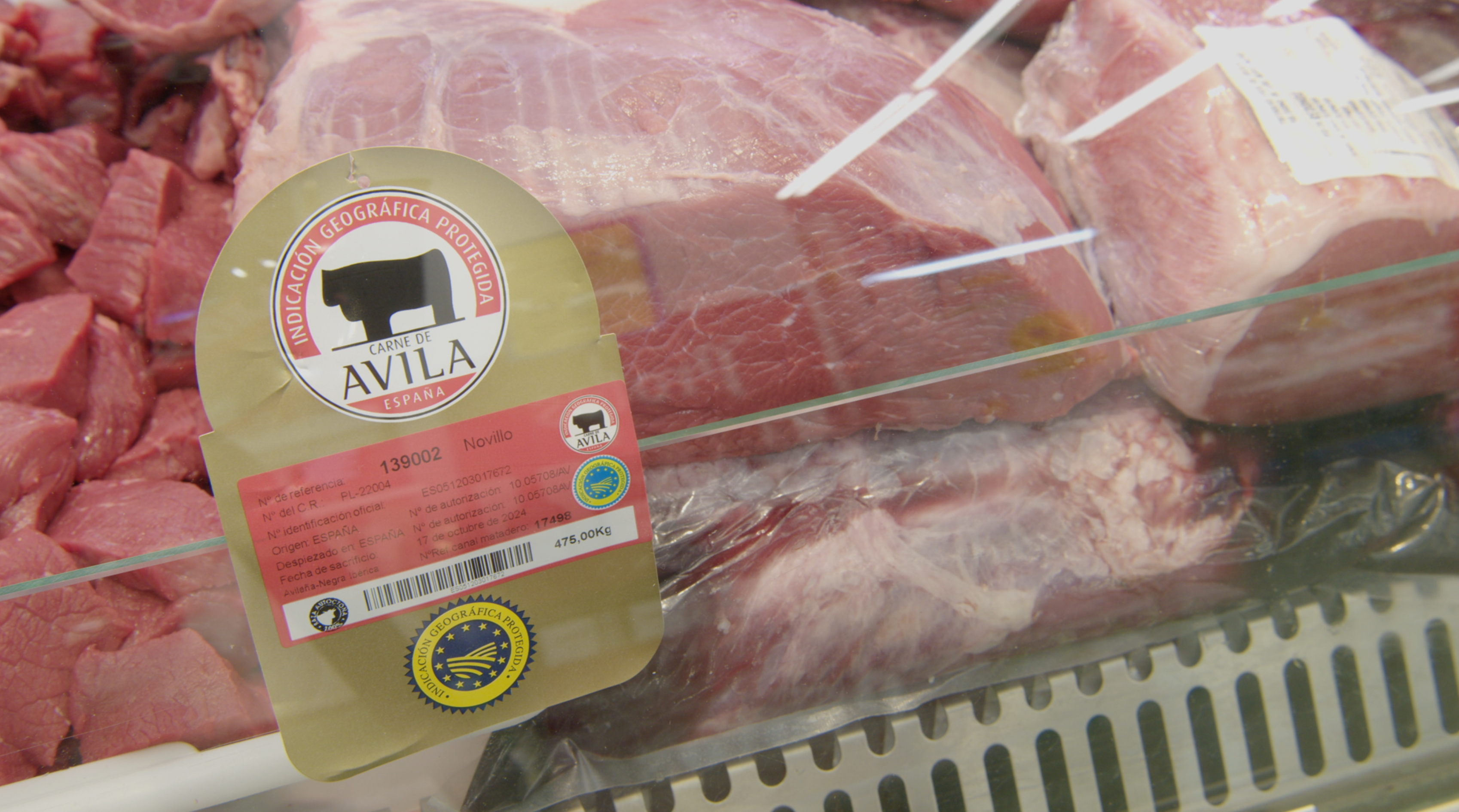 VISITAMOS A NUESTRO PROVEEDOR DE CARNE DE VACUNO