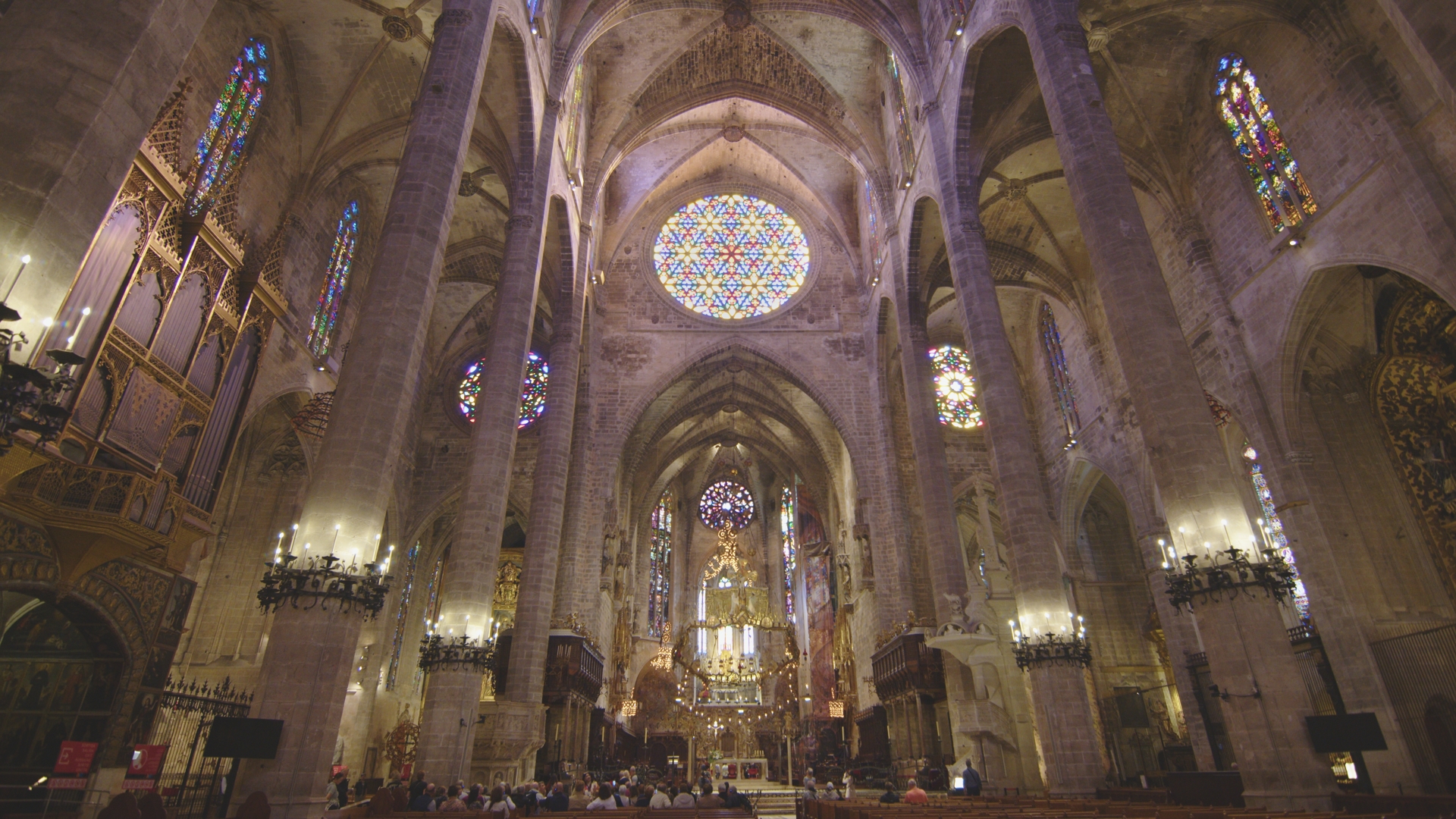 DTPE PALMA DE MALLORCA