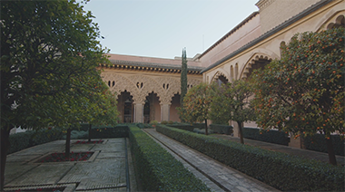 DTPE ZARAGOZA