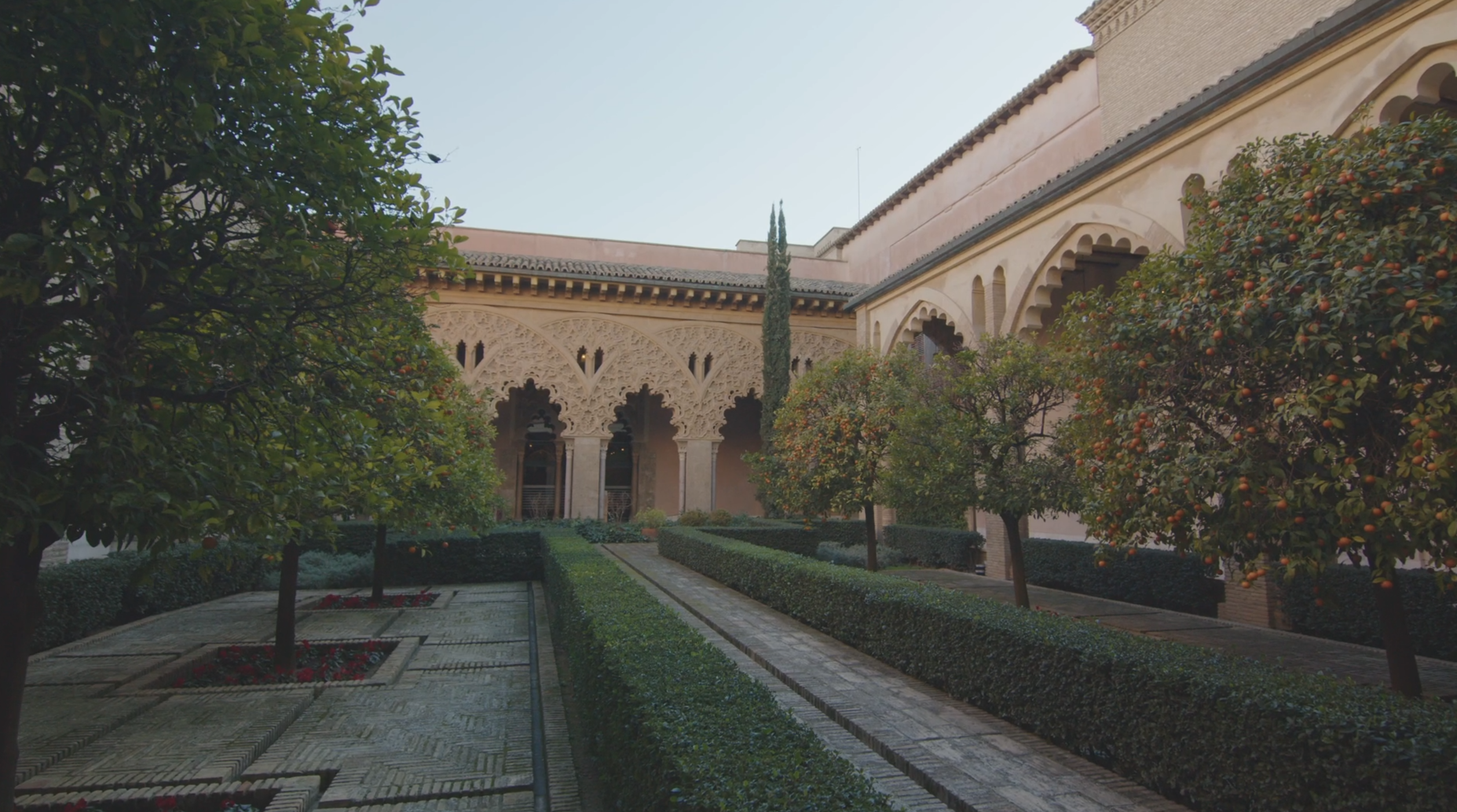 DTPE ZARAGOZA