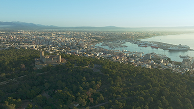 DTPE PALMA DE MALLORCA