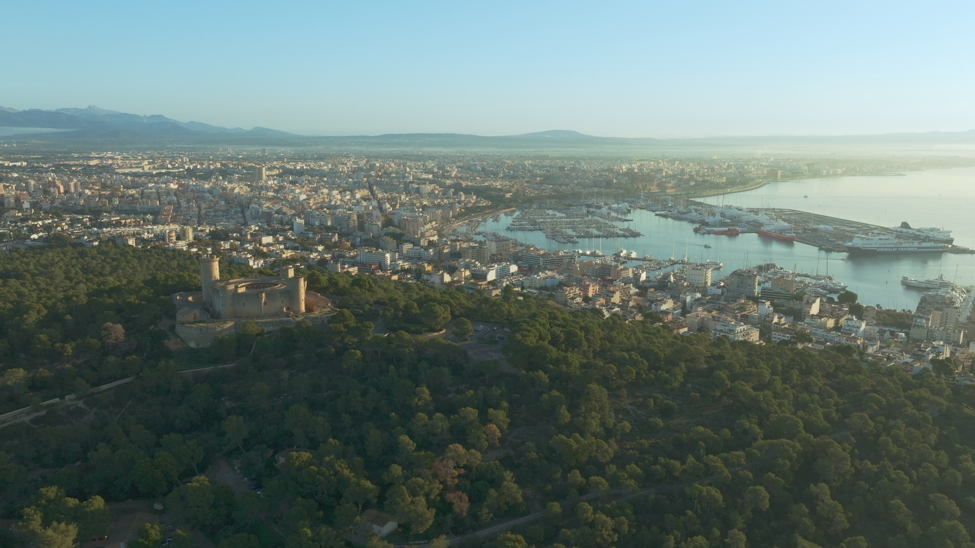 DTPE PALMA DE MALLORCA
