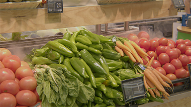 VISITA A LA HUERTA DE CONIL