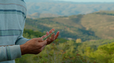 MPN TURISMO DE NATURALEZA