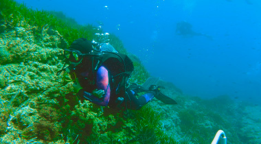 MPN TURISMO DE NATURALEZA